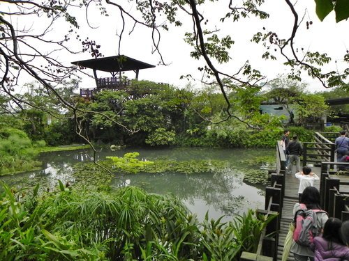 【花蓮光復鄉】馬太鞍濕地