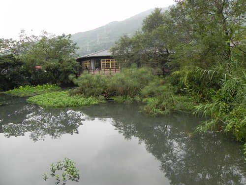 【花蓮光復鄉】馬太鞍濕地