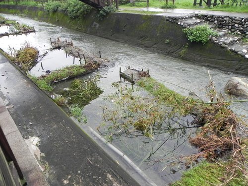 【花蓮光復鄉】馬太鞍濕地