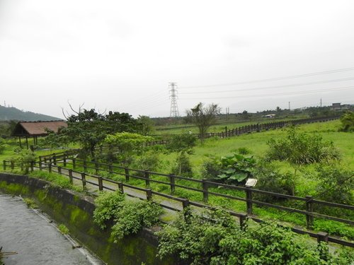 【花蓮光復鄉】馬太鞍濕地