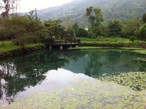 【花蓮光復鄉】馬太鞍濕地