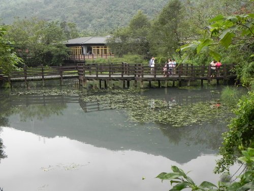 【花蓮光復鄉】馬太鞍濕地