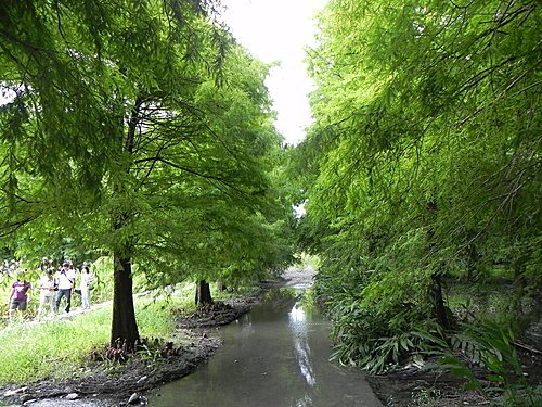 【花蓮壽豐鄉】世外桃源的雲山水