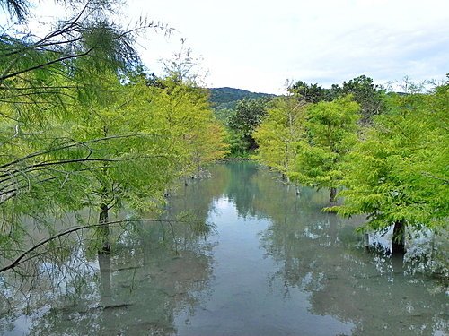 【花蓮壽豐鄉】世外桃源的雲山水