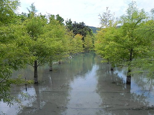 【花蓮壽豐鄉】世外桃源的雲山水