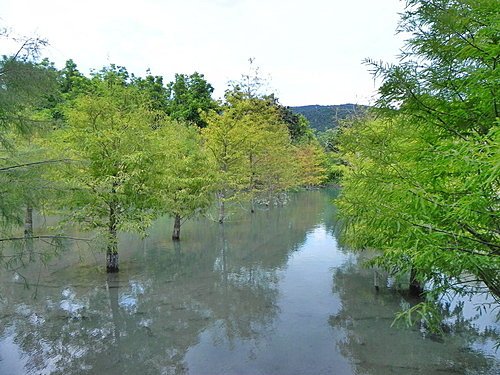 【花蓮壽豐鄉】世外桃源的雲山水