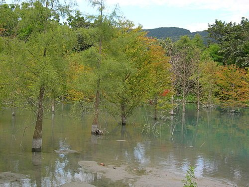 【花蓮壽豐鄉】世外桃源的雲山水