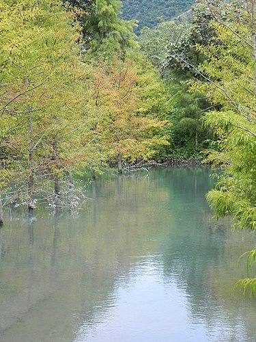 【花蓮壽豐鄉】世外桃源的雲山水