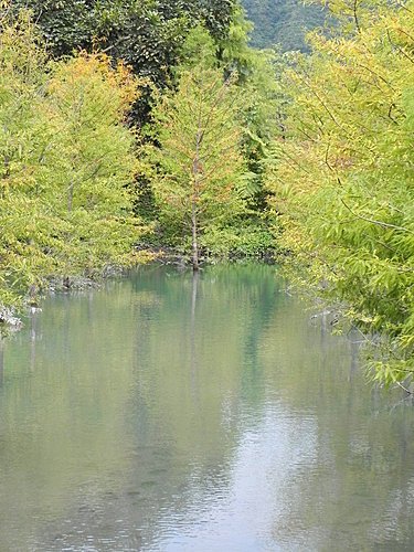 【花蓮壽豐鄉】世外桃源的雲山水