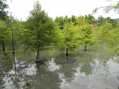 【花蓮壽豐鄉】世外桃源的雲山水