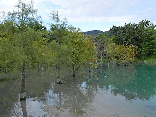 【花蓮壽豐鄉】世外桃源的雲山水