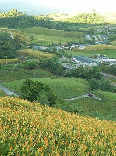 【花蓮富里鄉】台灣小瑞士之六十石山