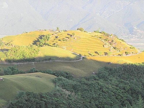 【花蓮富里鄉】台灣小瑞士之六十石山