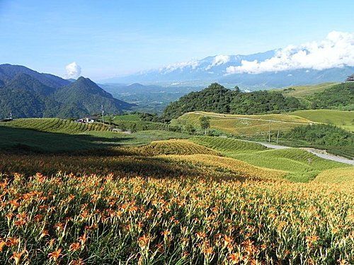 【花蓮富里鄉】台灣小瑞士之六十石山