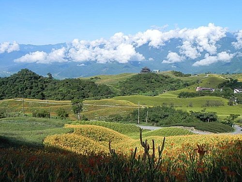 【花蓮富里鄉】台灣小瑞士之六十石山