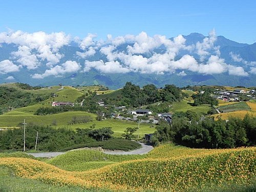 【花蓮富里鄉】台灣小瑞士之六十石山