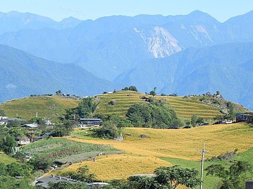 【花蓮富里鄉】台灣小瑞士之六十石山