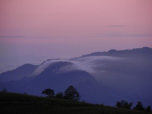 【花蓮富里鄉】六十石山的金針花海