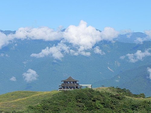 【花蓮富里鄉】六十石山的金針花海