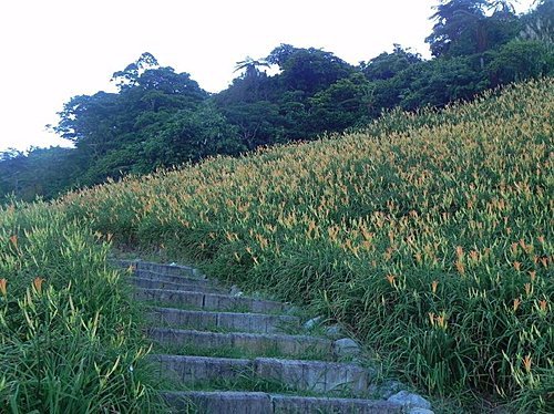 彭大媽客家食堂民宿露營記(第1次)