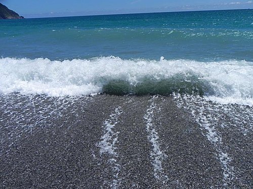 碧海藍天祕境之粉鳥林沙灘