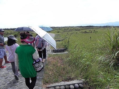 龜山島鯨奇之旅(上部曲)