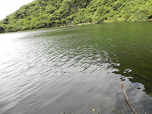 龜山島鯨奇之旅(上部曲)