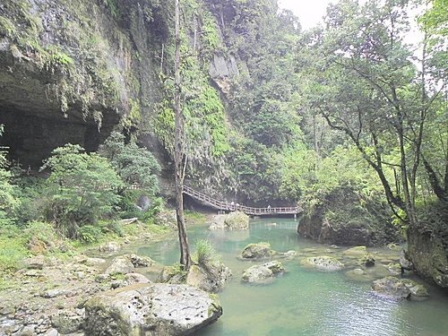 【南投竹山鎮】杉林溪森林遊樂區健行