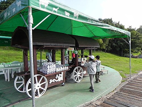 清境青青草原綿羊秀及風車節