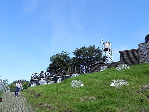 清境青青草原綿羊秀及風車節