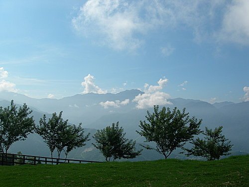 清境青青草原綿羊秀及風車節