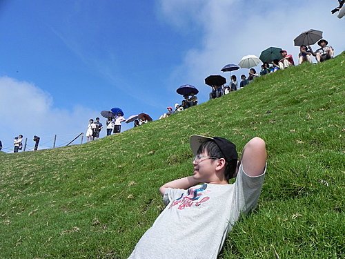 清境青青草原綿羊秀及風車節