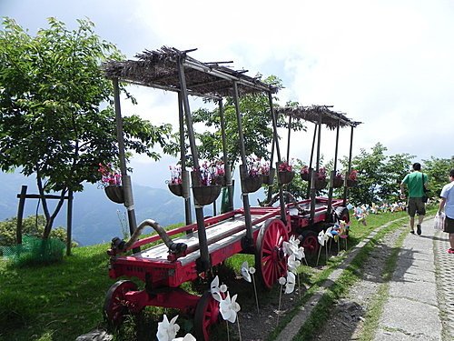 清境青青草原綿羊秀及風車節