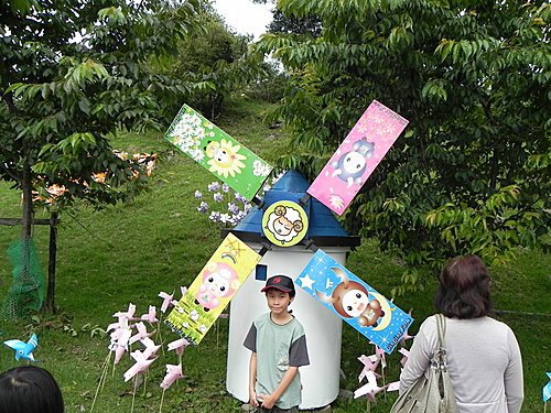 清境青青草原綿羊秀及風車節