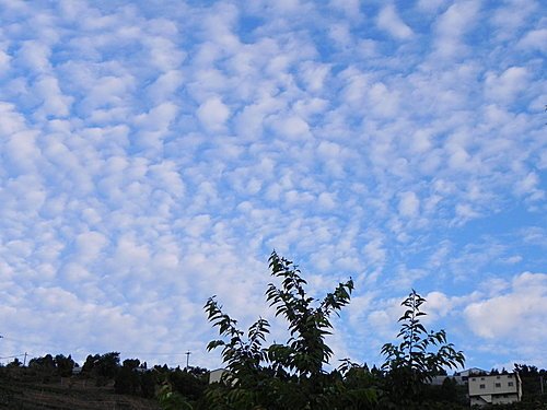 【南投仁愛鄉】清境小太陽3天2夜露營(第1次)