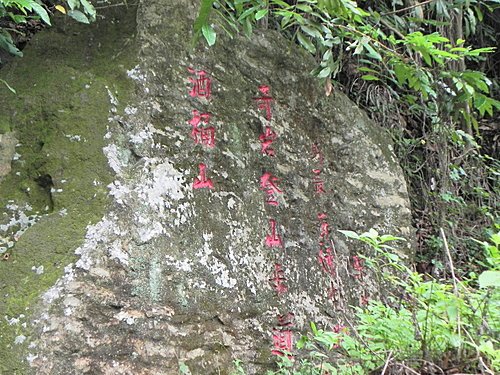 酒桶山月光森林的愜意時光