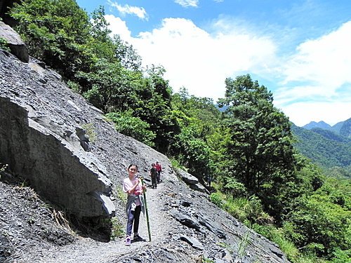 司馬庫斯巨木群健行