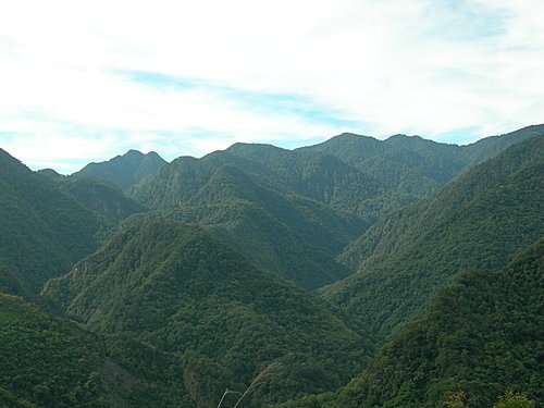 司馬庫斯巨木群健行