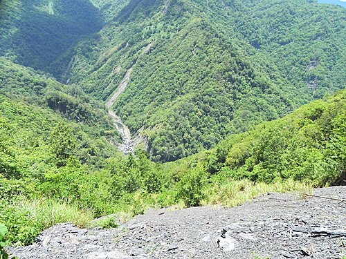 司馬庫斯巨木群健行