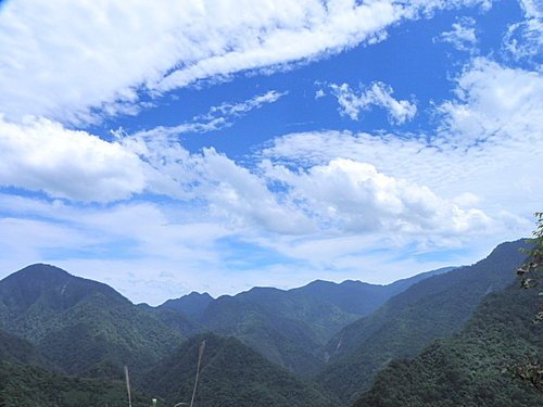 司馬庫斯巨木群健行