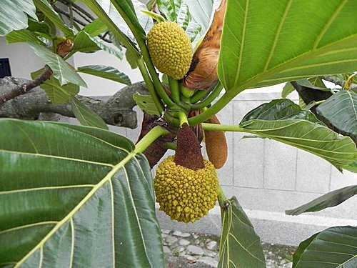 土牛客家文化館一遊