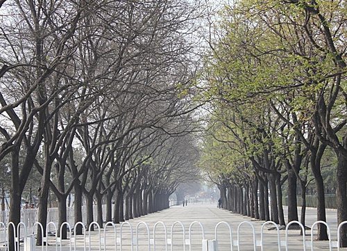 2011.04.14 北京天安門廣場