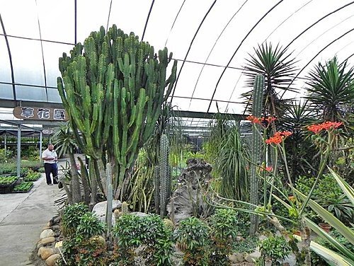 花露休閒農場(精油博物館)