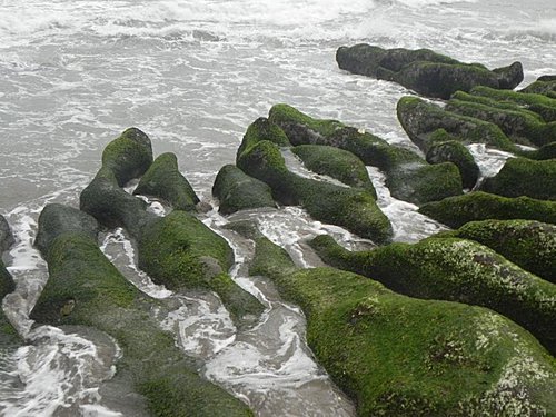 北海岸老梅石槽