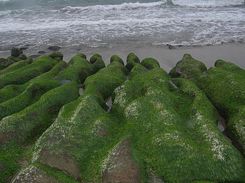 北海岸老梅石槽