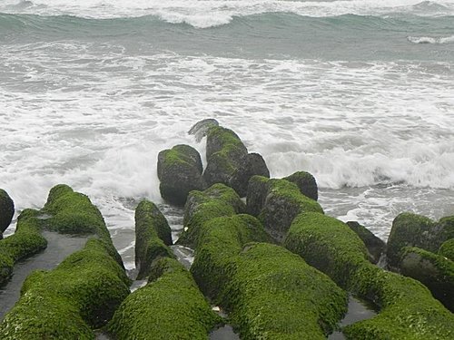 北海岸老梅石槽