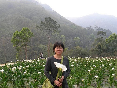 油羅溪森林之芋見幸福