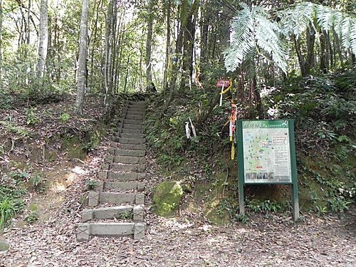 北得拉曼神木一遊