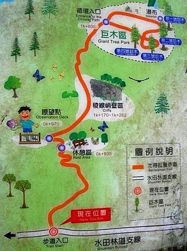 北得拉曼神木一遊