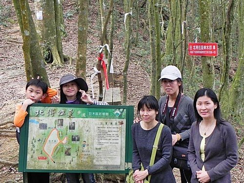 北得拉曼神木一遊